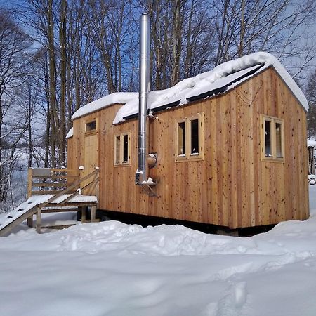 Villa Celorocni Glamping V Pohodlnem Domecku Výprachtice Exterior foto