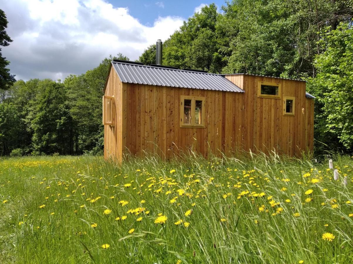 Villa Celorocni Glamping V Pohodlnem Domecku Výprachtice Exterior foto