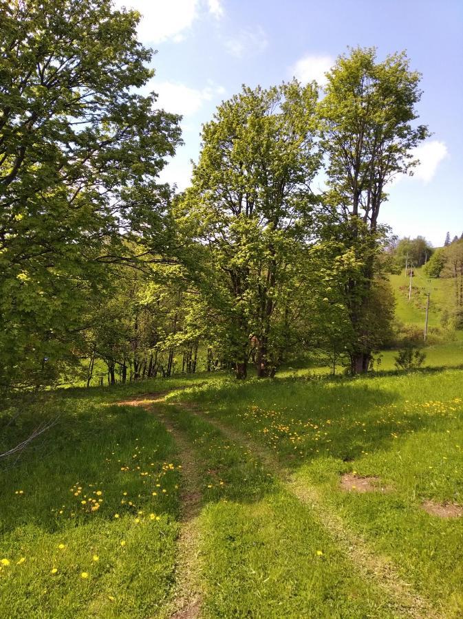 Villa Celorocni Glamping V Pohodlnem Domecku Výprachtice Exterior foto