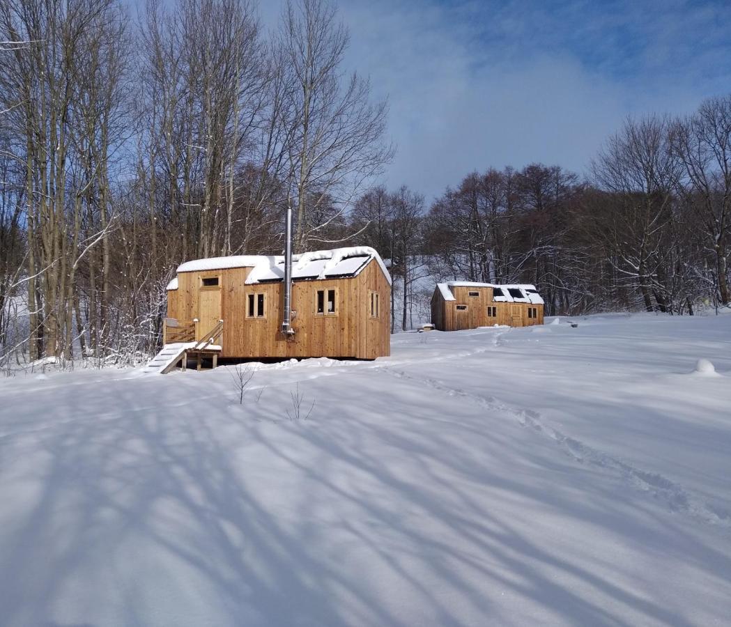 Villa Celorocni Glamping V Pohodlnem Domecku Výprachtice Exterior foto